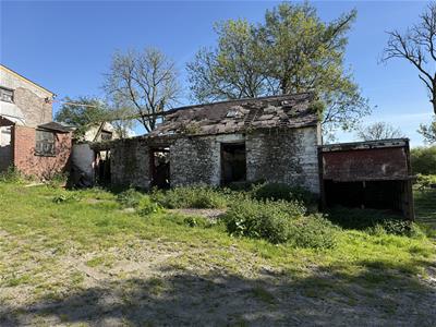 Picture 23